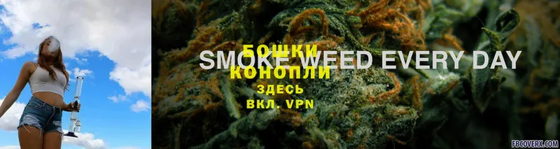 Каннабис White Widow  Высоцк 